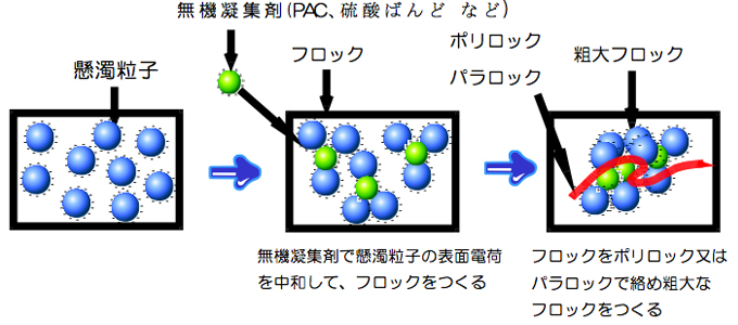 凝集のしくみ